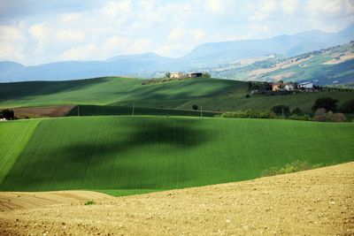 Scenic view of field against sky