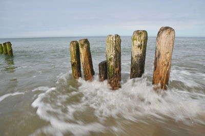 Wooden posts in sea against sky