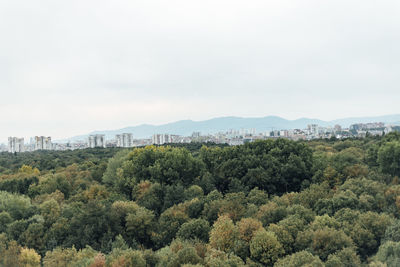 Trees and plants growing in city against sky