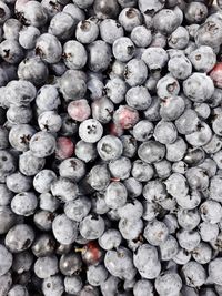 Full frame shot of blueberries