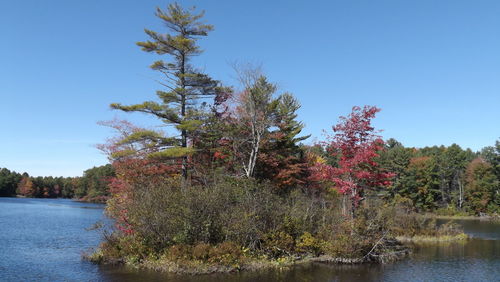 Scenic view of calm lake against clear sky