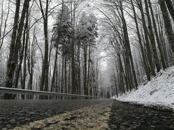 Road amidst trees in forest