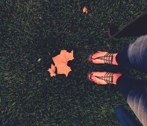 Low section of person standing on field during autumn