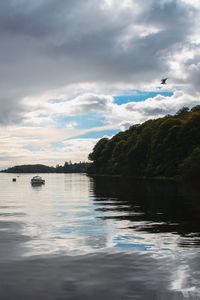 Bird flying over sea against sky