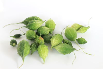 Close-up of leaves against white background