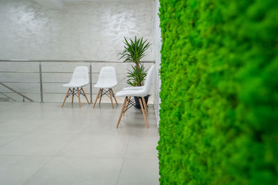 Potted plant on table against wall