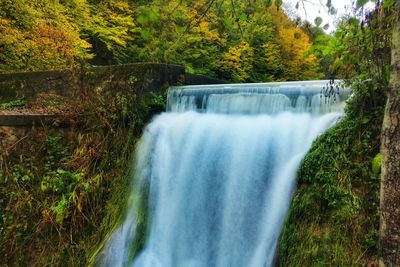 Scenic view of waterfall in forest