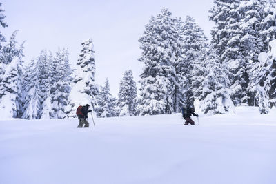 Low angle view of male friends hiking on snowcapped mountain