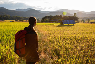 Side view of woman standing at rice paddy against sky