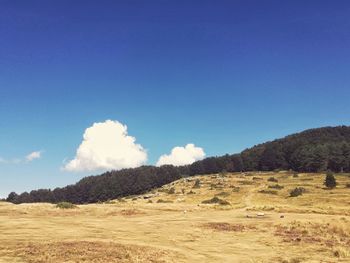 Scenic view of landscape against blue sky