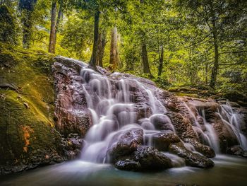 View of waterfall in forest