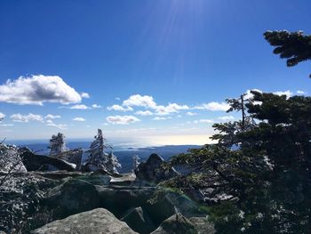 Scenic view of landscape against blue sky