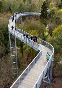 High angle view of people on footbridge in forest