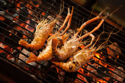 Close-up of meat on barbecue grill