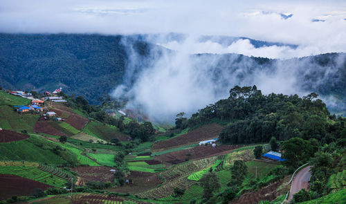 High angle view of trees on landscape against sky