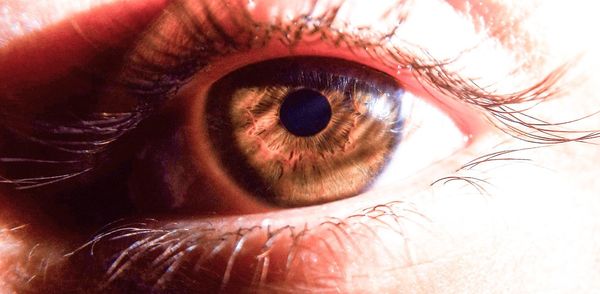 Close-up of human eye
