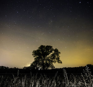 Scenic view of star field against star field at night