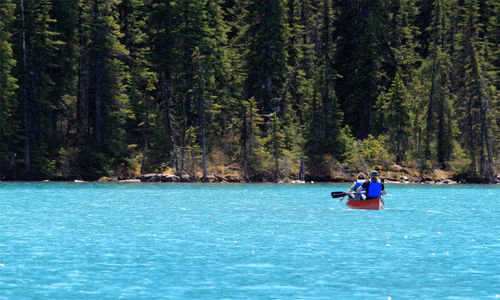 Man surfing on boat in forest