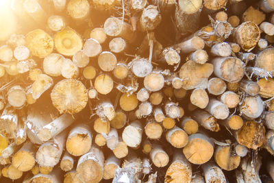 Full frame shot of logs in forest