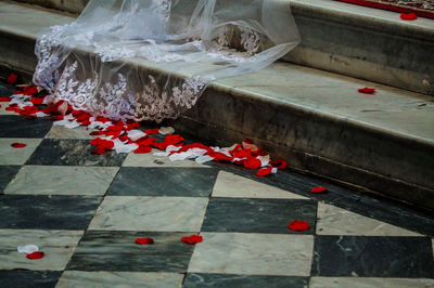 High angle view of red flowers