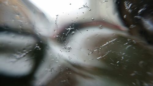 Close-up of water drops on leaf