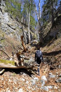 Man standing on rock in forest