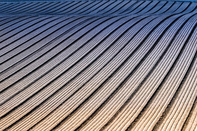 Full frame shot of agricultural field