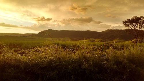 View of grassy landscape against cloudy sky