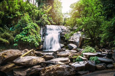 Waterfall in forest