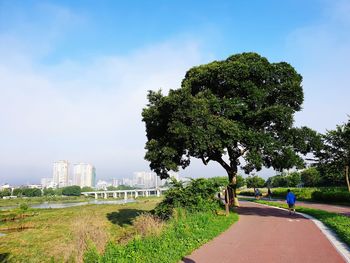 People walking on road by trees against sky in city