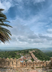 View of palm tree against cloudy sky