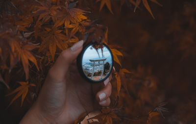 Close-up of woman photographing through autumn leaf