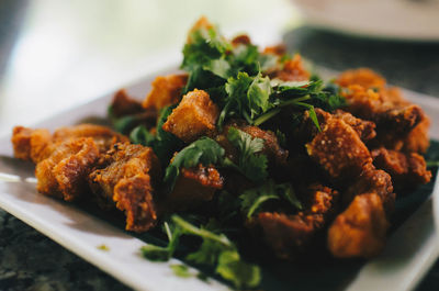 Close-up of served food in plate