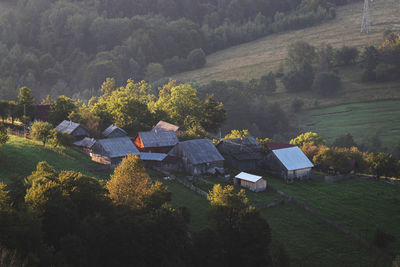 High angle view of trees and houses on field