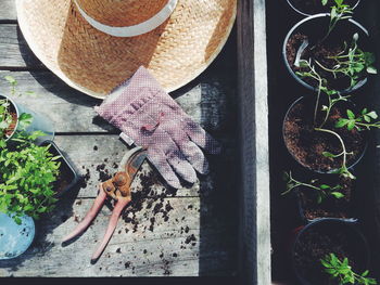 High angle view of pruning shears and glove by potted plants