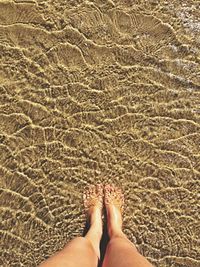 Low section of woman in water