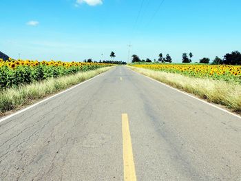 Road amidst field against sky