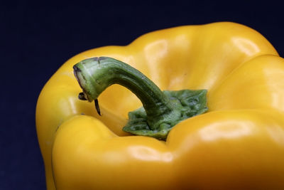 Close-up of yellow bell pepper against black background