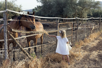 Little blonde girl feeding a horse in a stable