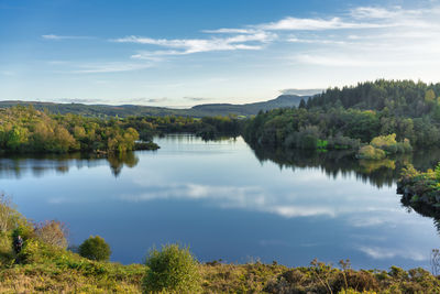 Scenic view of lake by trees against sky