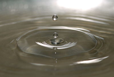 Close-up of water drops on water surface