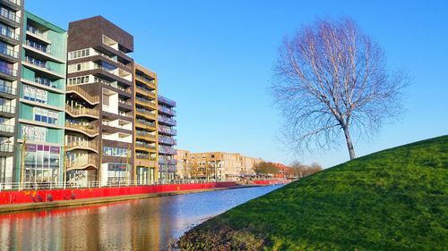 Buildings in distance with waterfront