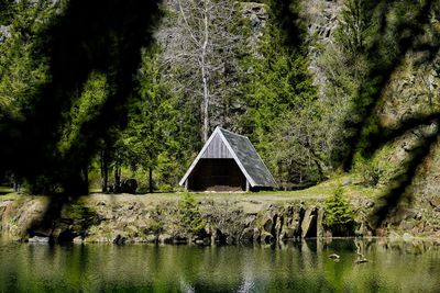 Scenic view of lake in forest