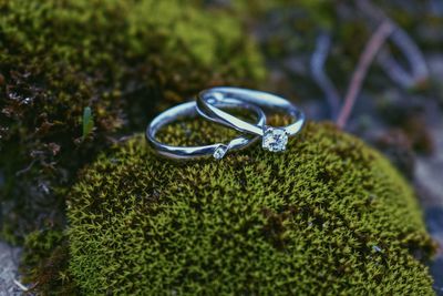 Close-up of wedding rings on moss