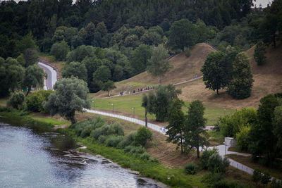 High angle view of road amidst trees in forest