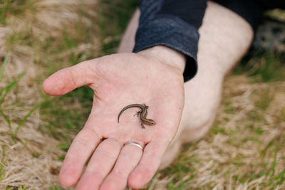 Cropped image of man holding plant