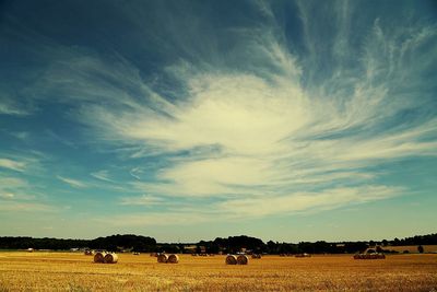 Scenic view of field against cloudy sky