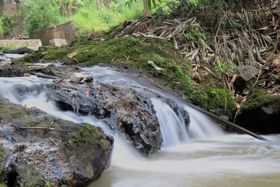 Scenic view of waterfall in forest