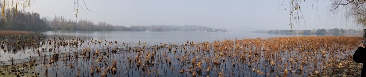 Scenic view of lake against sky