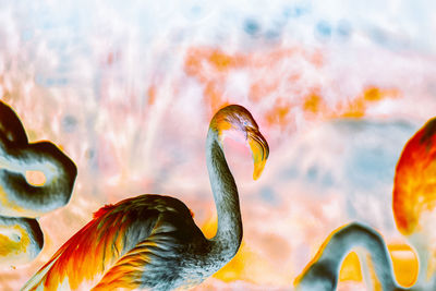 Inverted flamingos
